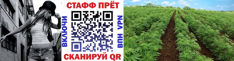 Магазин наркотиков Унеча А ПВП  COCAIN  МЕТАМФЕТАМИН  МАРИХУАНА  ГАШ 