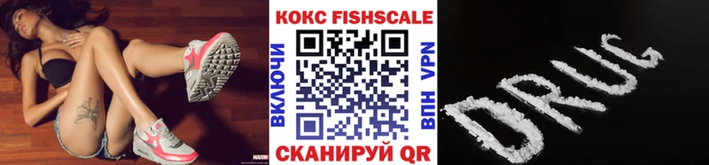 КОКАИН 98%  сколько стоит  MEGA ссылки  Унеча 