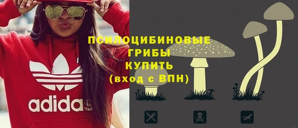 ПСИЛОЦИБИНОВЫЕ ГРИБЫ Аркадак
