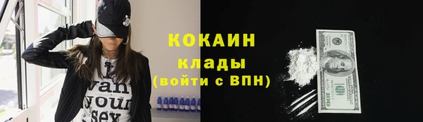 ПСИЛОЦИБИНОВЫЕ ГРИБЫ Аркадак