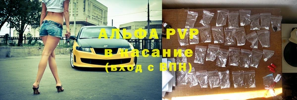 стафф Арсеньев