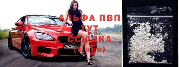 стафф Арсеньев