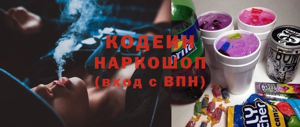 стафф Арсеньев